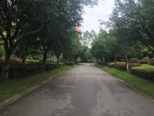 湖岸家园B区 4室2厅 南 北