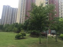 万科公园里 带车位 精装修 中楼层 诚心出售