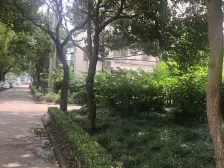 新出必看好房,南北通透,房东诚心出售,价格可谈,精装拎包入住