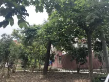 好楼层 满五 采光很好 诚意出售