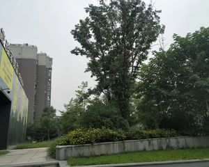 合能珍宝翡翠3室2厅西