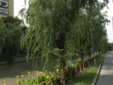 现场实勘,产权清晰,中间楼层 新上房源