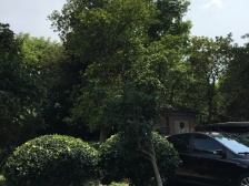 近地铁,刚需上车 随时看房 产权清晰 新上房源