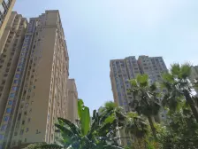 鸳鸯 大雅云居山三房120万