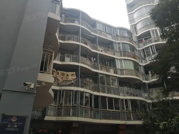 金叶缇香爱尚