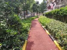 店长主力推荐房源 产权清晰 商业配套成熟 南向采光好 临轻轨