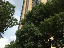 近地铁 产权清晰,电梯房,必看好房