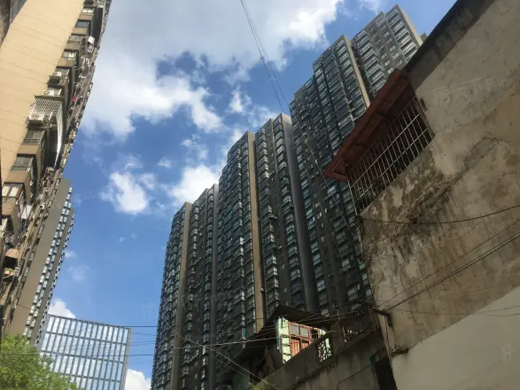 美居荷园