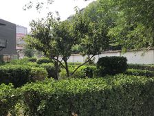 瑞丽江畔 2室1厅 西