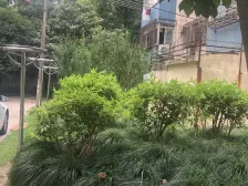 市光四村2室南朝向228.00万元/套出售