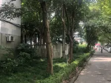 市光四村1室南朝向155.00万元/套出售