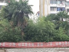 近地铁+小两房+带装修+采光好