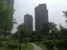 精装电梯两房+税费少,18号线16号线双轨交航头站!