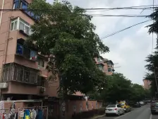 通河二村 2室1厅 南 北