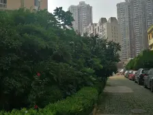 品质小区,户型正气, 烫金地段,停车方便,诚意卖房