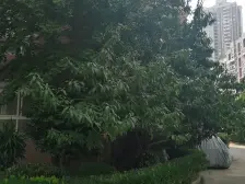 中皇广场2室南朝向930.00万元/套出售