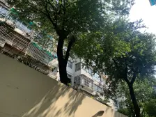 龙安小区 3室1厅 南