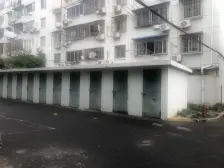 Z是一年春好处 绝胜烟柳满皇都!