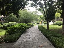 空中别墅 豪装百万 送空中朝南大露台+可装电梯