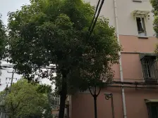 品质小区,环境优美,居家装修,诚意出售