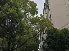 精装修复式三房,产权清晰,业主诚意卖,看房方便的