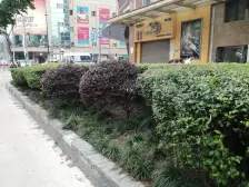 黄浦江东方明珠景观房16平连体大阳台交通便利