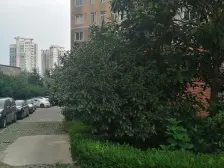临平路 · 中皇广场 · 1室 · 1厅