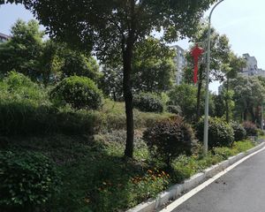 星雨心苑4室2厅南北