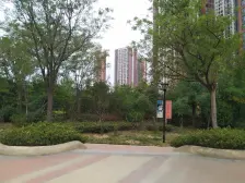 东区近郑上路 电梯精装洋房 中间层采光 布局合理