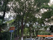 近地铁,入住快中心位置电梯房热销好房