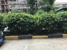 莲花公寓(普陀) 1室1厅 南