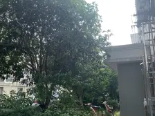 南北通透,采光好,视野佳,看房方便