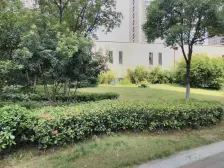 高铁新城·鑫之苑·2室·2厅