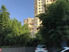 一改二户型,中楼层采光视野好,近春申站