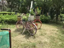 双南户型可塑性强,毛坯免拆旧费,有电梯停车 方便