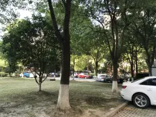 大复式,近春申站,近G60科创云朗,诚意卖