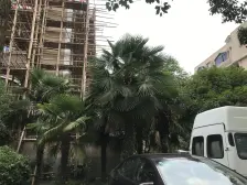 美丽花园小区,采光好,交通便利,视野好