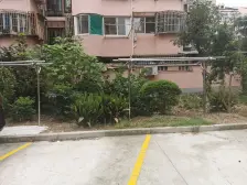 三林·凌兆新村-上浦路336弄·2室·1厅