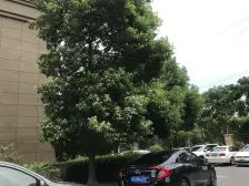 电梯房,主卧朝南,品质小区,居家装修