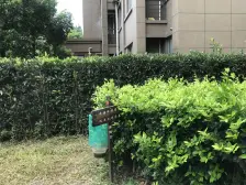 前排无遮挡,边套南北通,全明户型,视野开阔日照充足