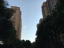 明中龙祥家园(公寓) 2室1厅 南