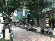 金鹏北城旺角 1室1厅 东南