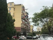 桃浦三村石榴苑 1室1厅 南