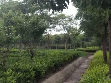 丰庄·栅桥新村·2室·1厅