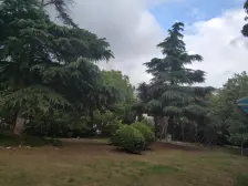 房东诚意出售,房型佳,小区出行方便