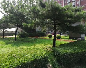 南北通透,电梯两居,满五年,卖房置换,采光好