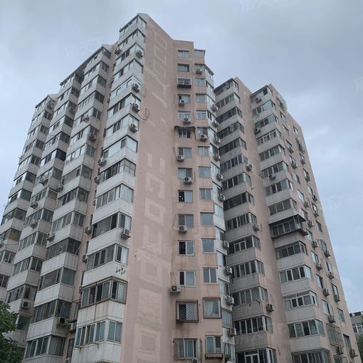 魏公村8号院1室1厅1卫西南朝向6800.00元/月出租