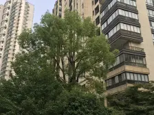 浅水湾恺悦名城4室南朝向2998.00万元/套出售