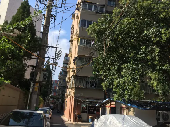 东柏果园