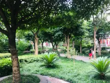 龙溪镇 聚信广场二房79万